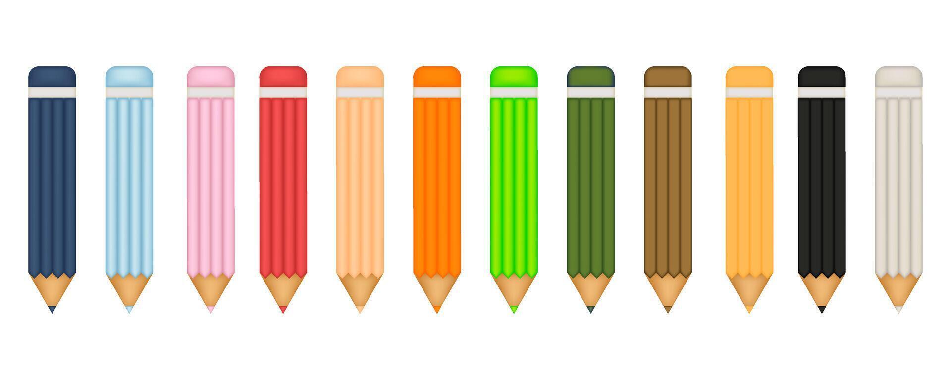 collection of twelve color colored pencils vector