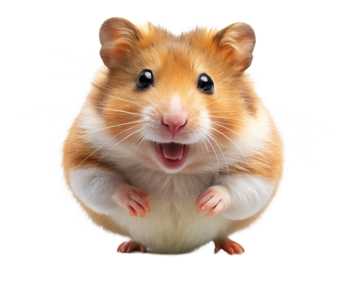 Smiling cartoon hamster in a happy leap on transparent background png
