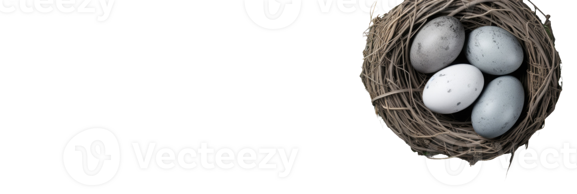A bird nest with three eggs in it png