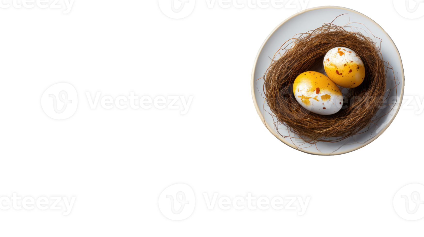 Two eggs in a nest on a plate png