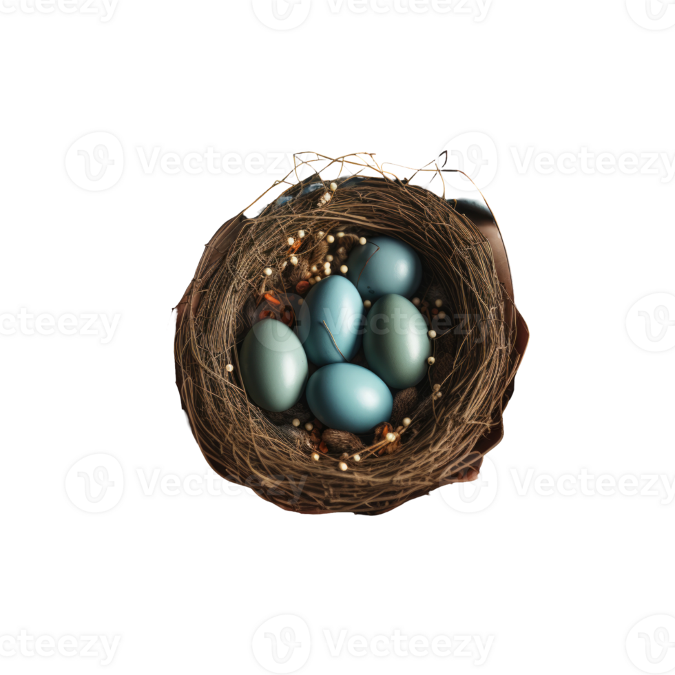 A bird's nest with blue eggs on a black background png
