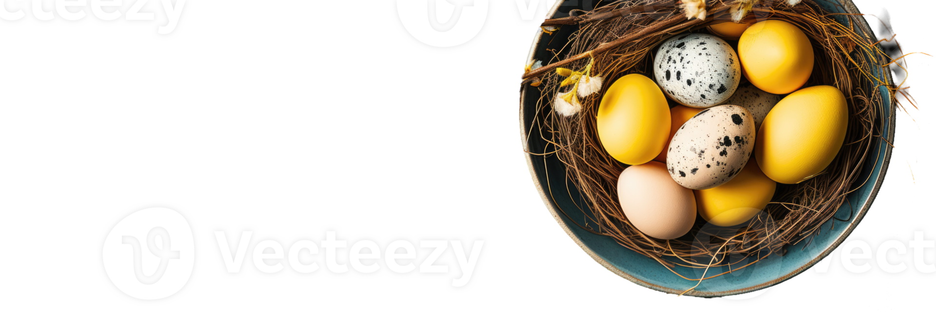 A bird's nest with eggs in it on a black background png