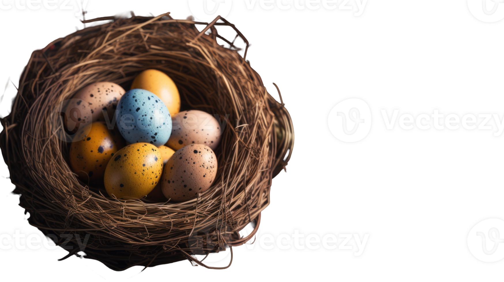 A bird's nest with eggs on a black background png
