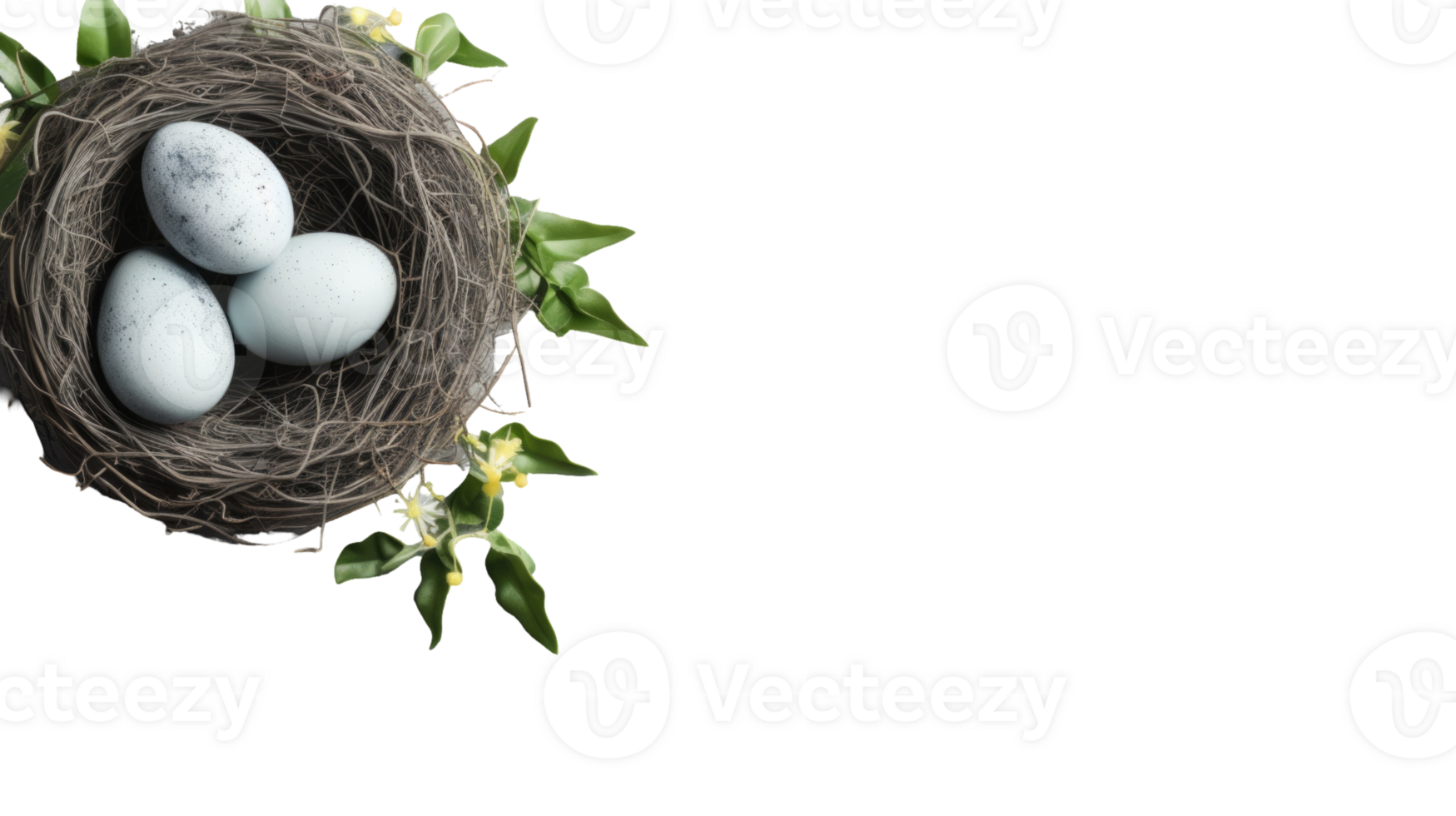 Easter egg in nest png