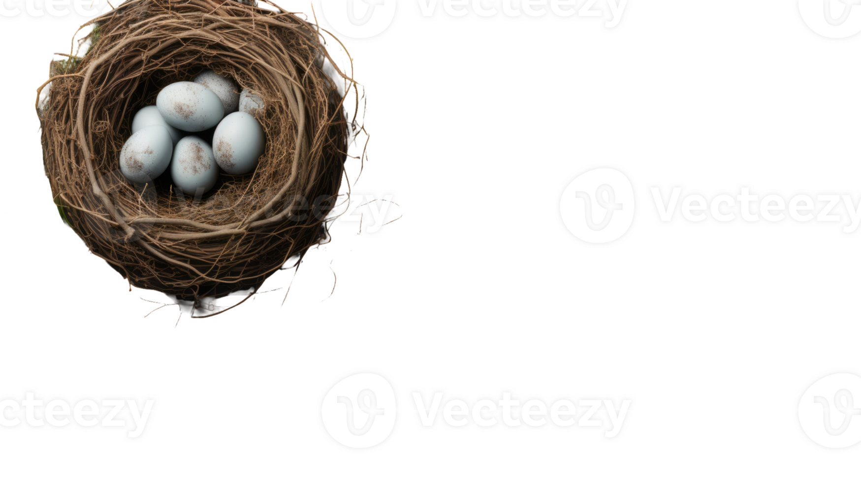 A bird's nest with four eggs in it png