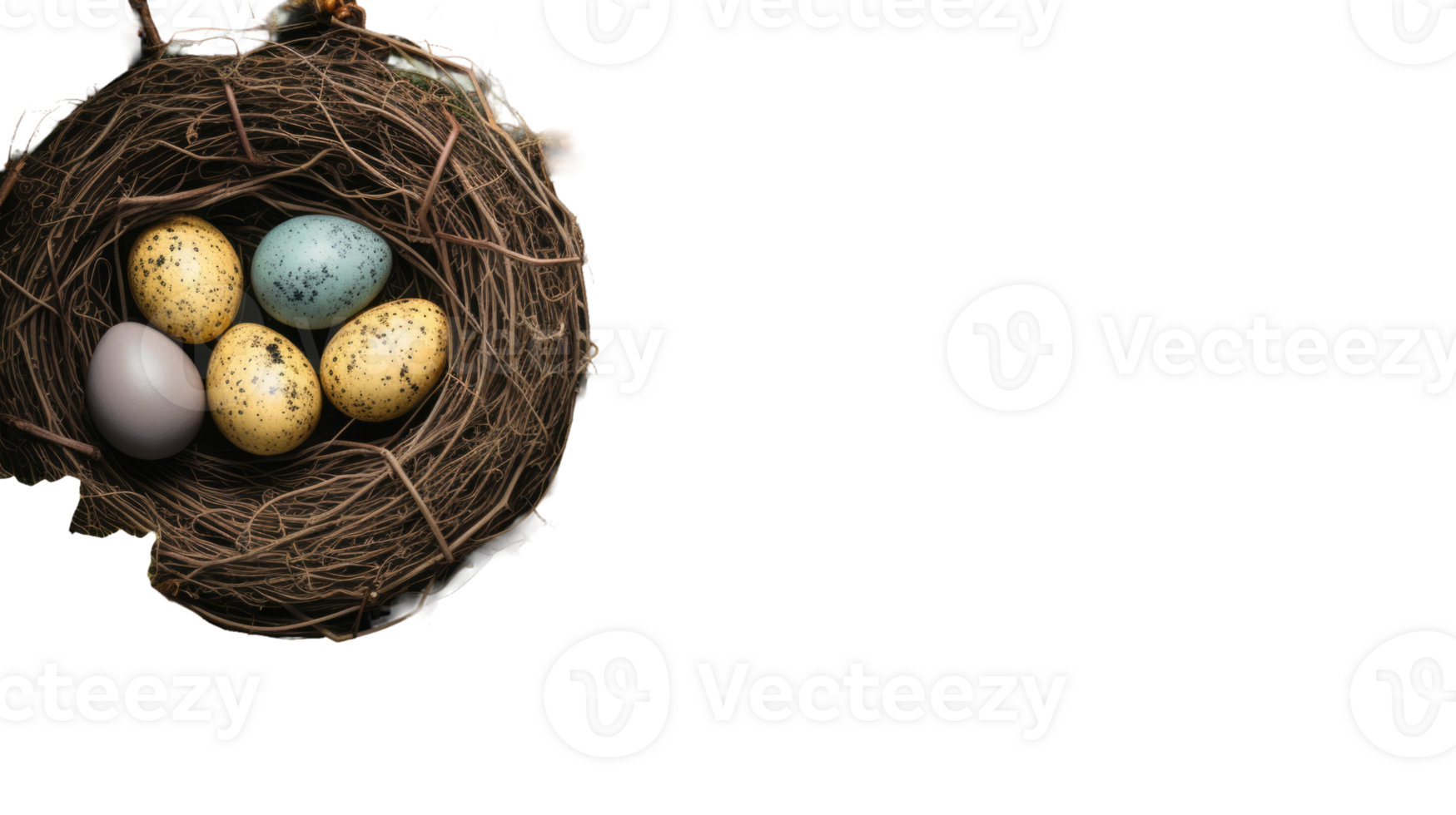 A bird's nest with four eggs in it png