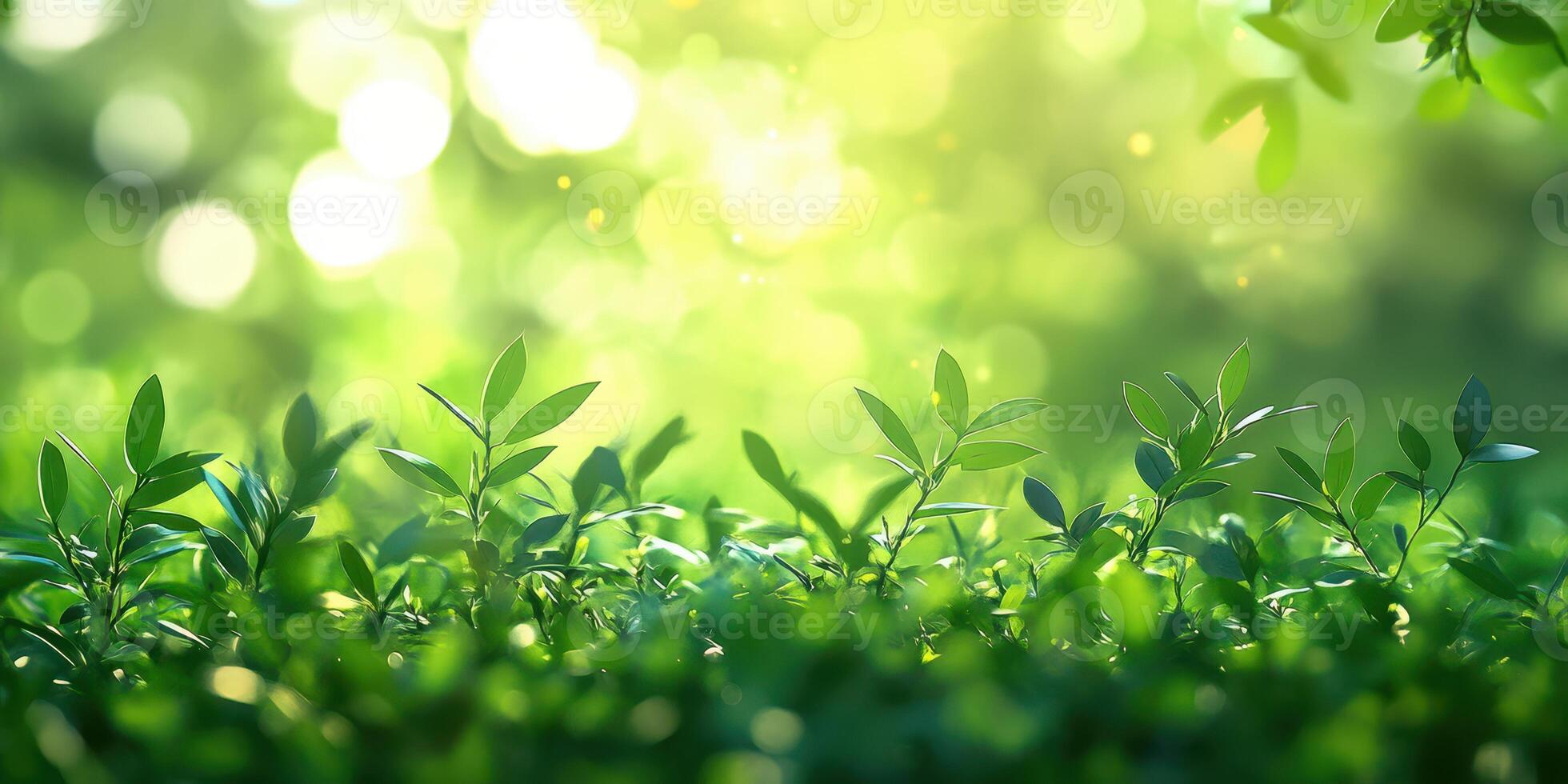 Fresh green leaves thrive in soft sunlight during a serene afternoon in a peaceful garden setting photo