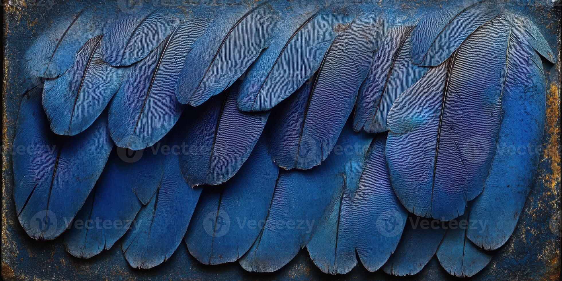 Vibrant blue feathers arranged in a textured pattern against a rustic background photo