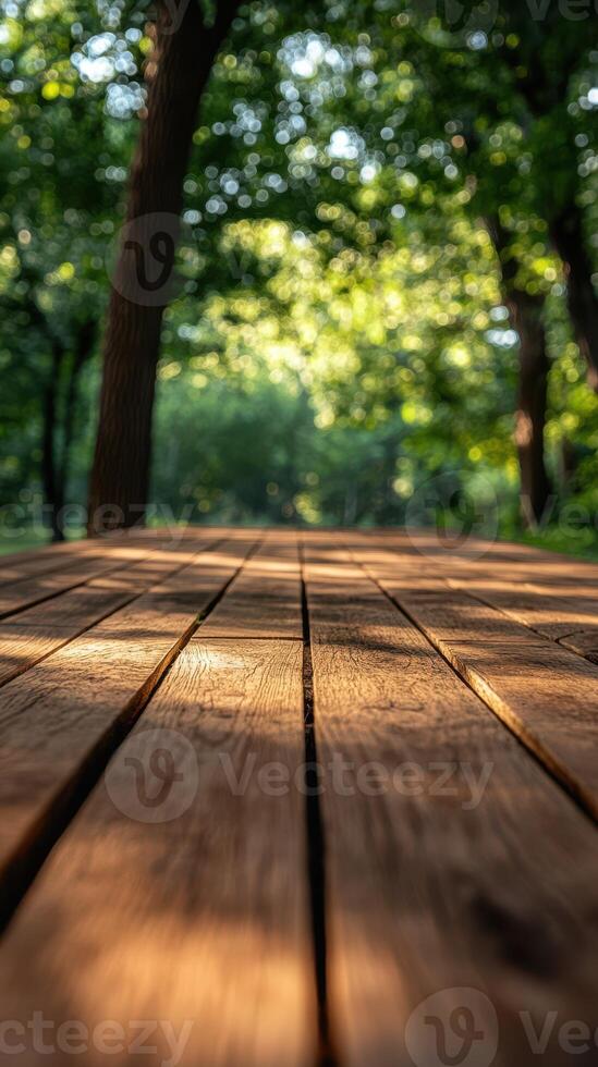 Sunlight filters through trees onto wooden deck in a serene forest setting photo