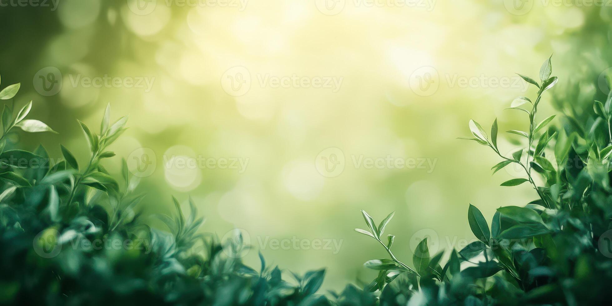 Lush green foliage captures sunlight in a serene outdoor setting during a tranquil summer morning photo