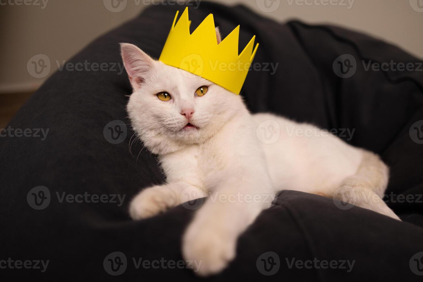 Regal Cat Adorned in a Crown A Whimsical and Charming Portrait of Feline Elegance photo