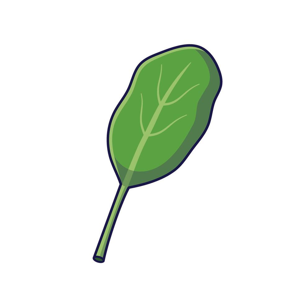 Fresh herbs concept. Cute spinach leaf. Cartoon icon illustration. Outline spinach in doodle style. Isolated on white background. vector