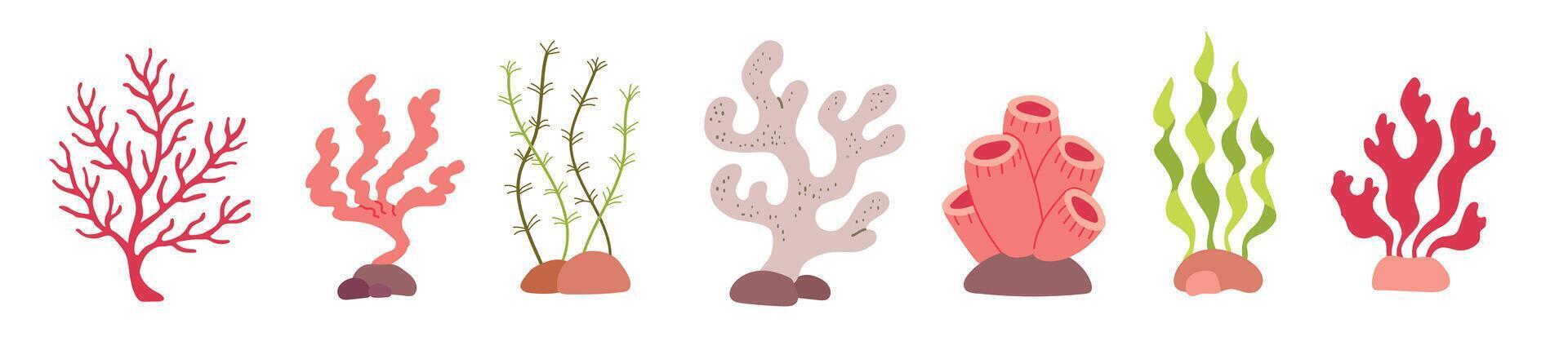 Set collection with ocean see elements reef flora plants. Corals and seaweed vector
