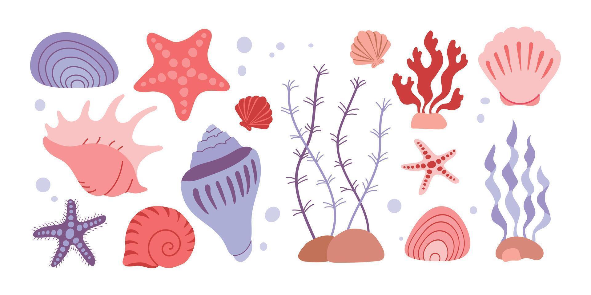 Set collection with ocean sea elements reef flora plants. Corals and seaweed, shells and sea stars vector