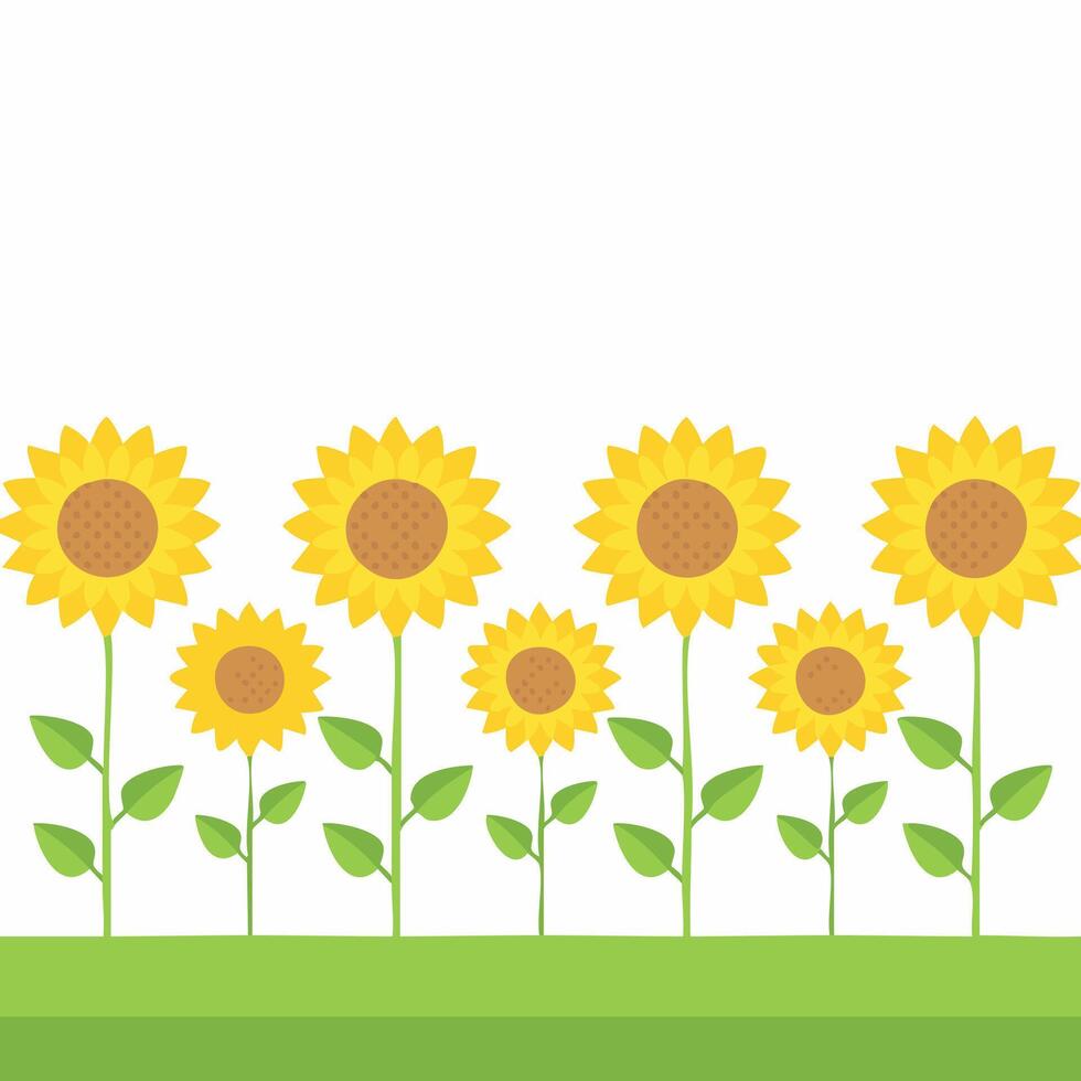 Simple sunflowers lined up in a field vector