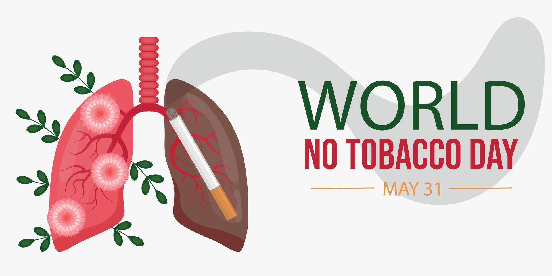 Poster for world no tobacco day with healthy lungs and smoker's lungs. vector