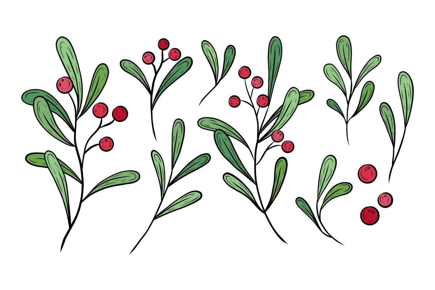 color Christmas set with branches, leaves and berries. Hand drawn festive greenery with red berries. Botanical illustration for design, print, fabric or background, greetings, cards. vector