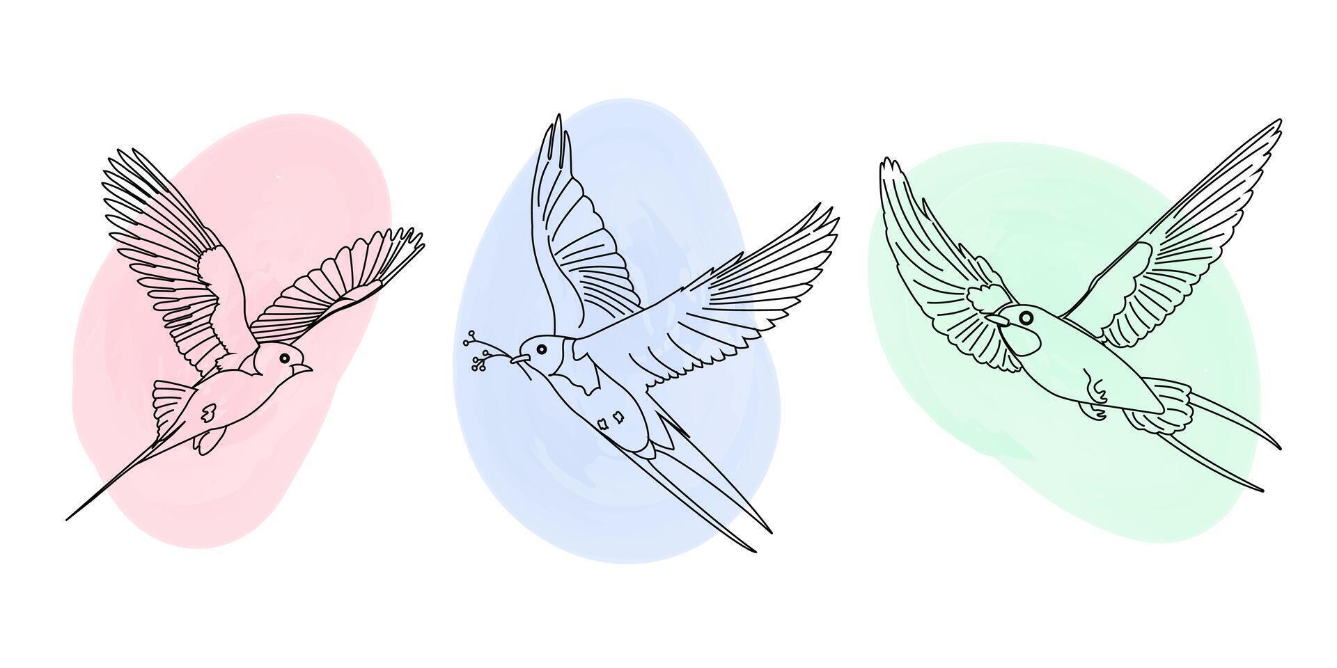 Set of flying swallows. Spring collection of bird on linear style with watercolor spots, isolated on white background vector