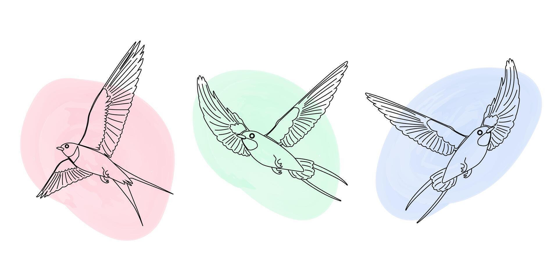 An assortment of airborne swallows. Spring bird collection exhibits a linear design style enhanced by watercolor spots vector