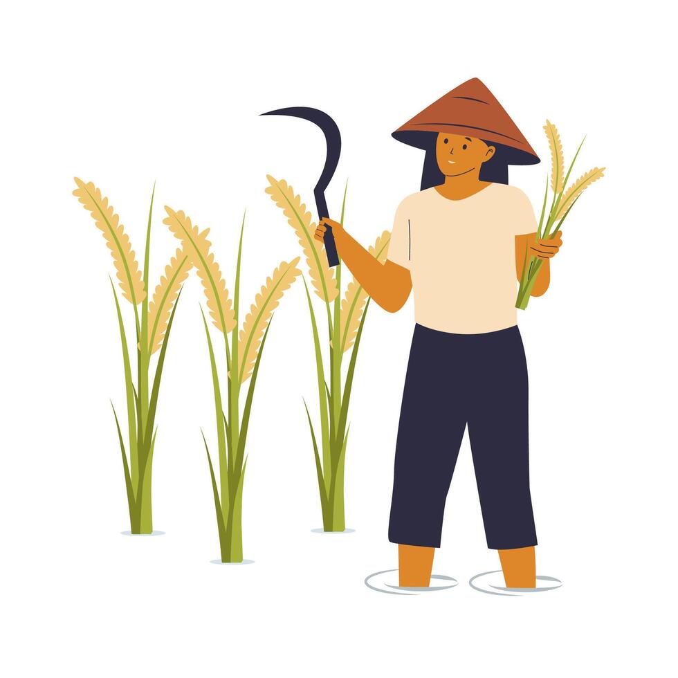 Farmer Harvesting Rice concept vector