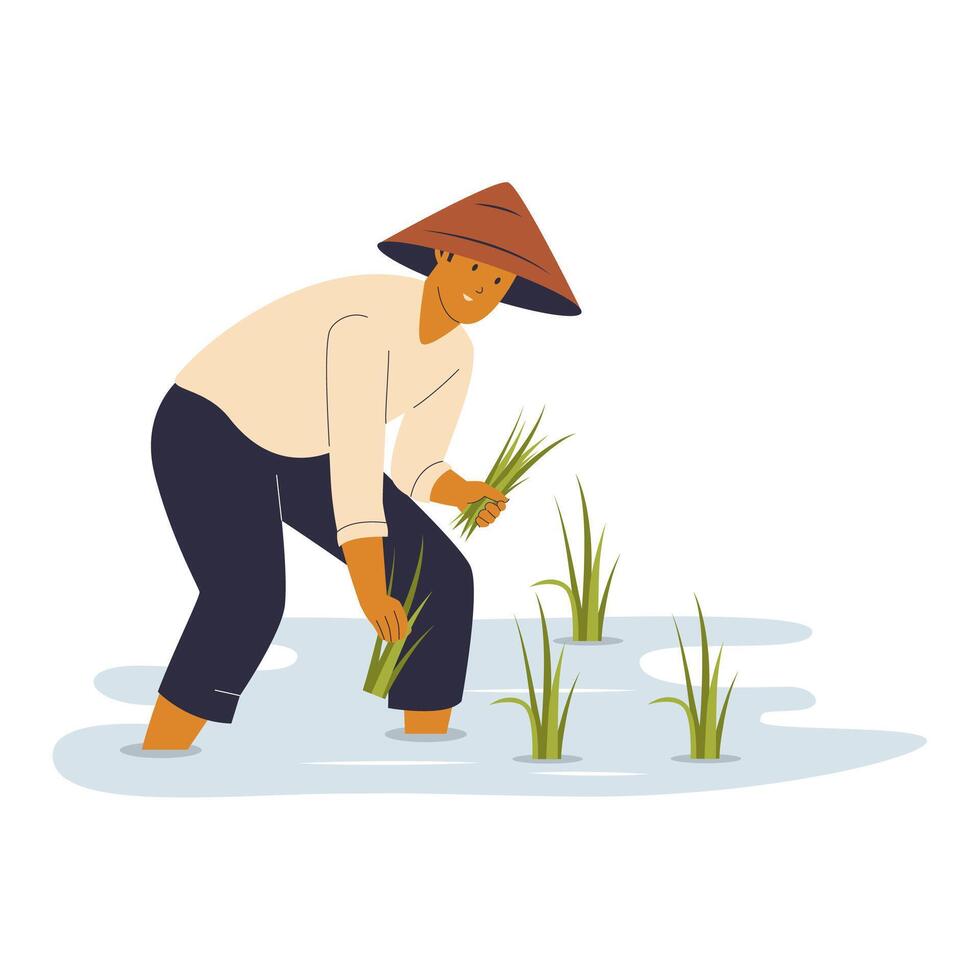 Illustration of Farmer Planting Rice vector