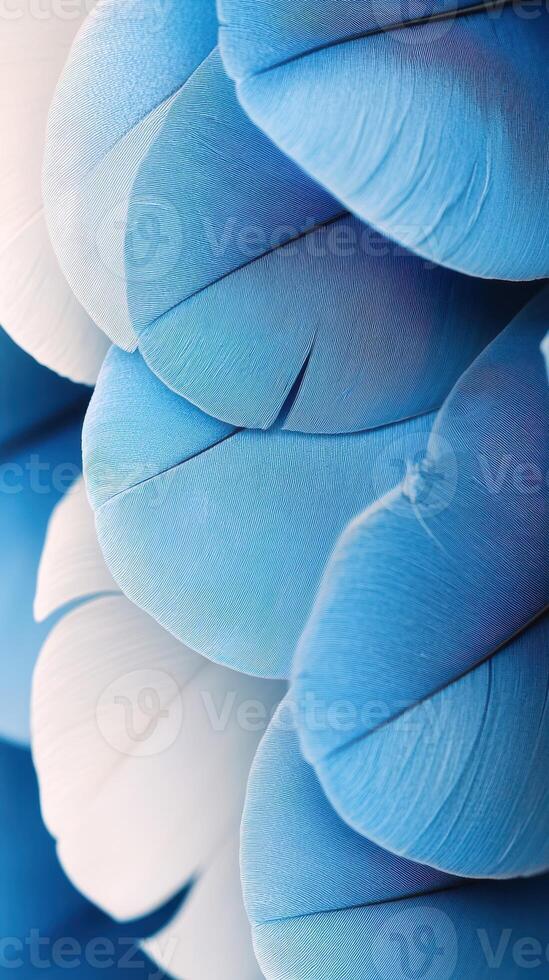 Soft blue feathers arranged in layers highlight intricate patterns and textures against a contrasting background photo