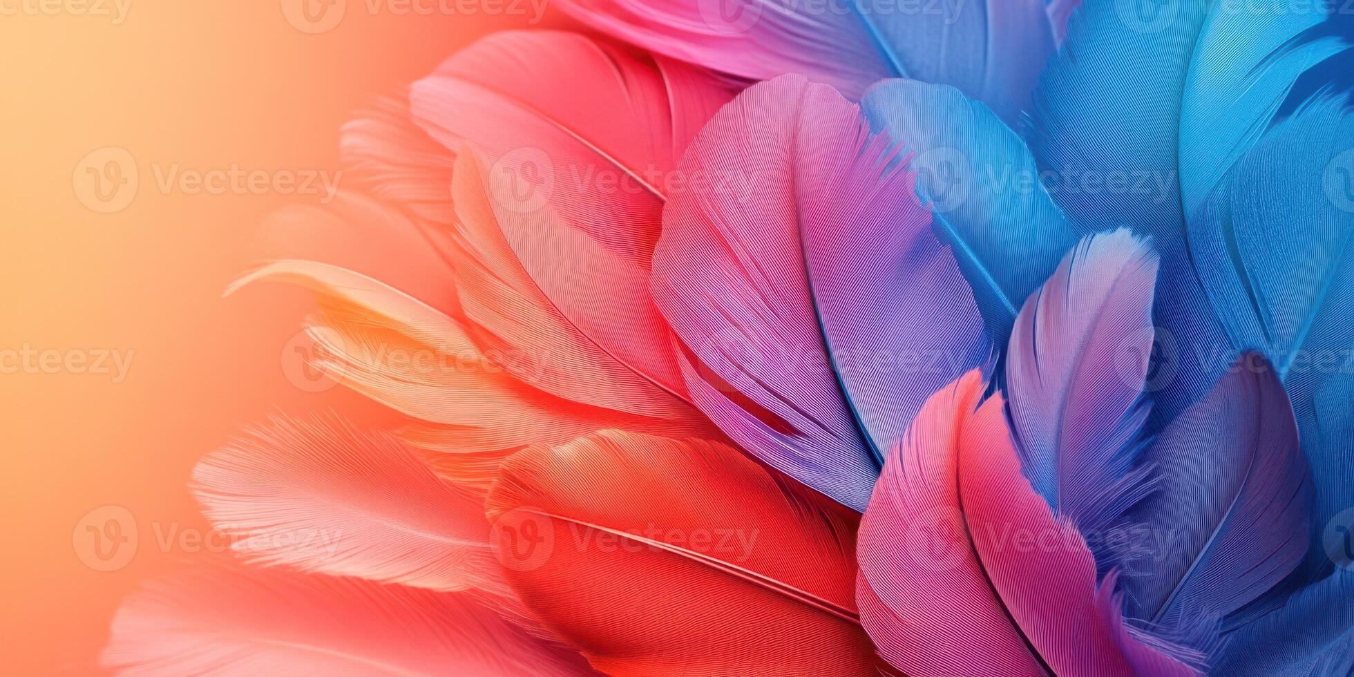 Colorful feathers create a vibrant and artistic background, showcasing shades of red, pink, and blue in a captivating display photo