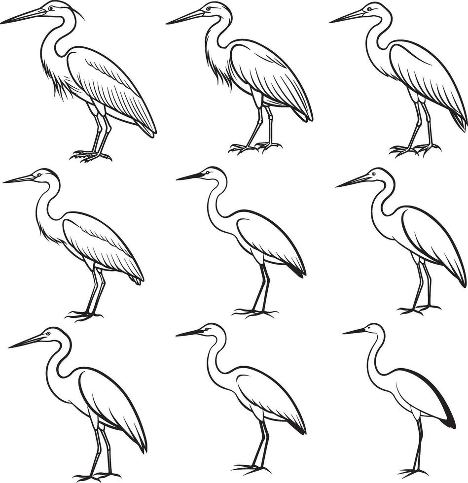 Egret bird line icon set vector