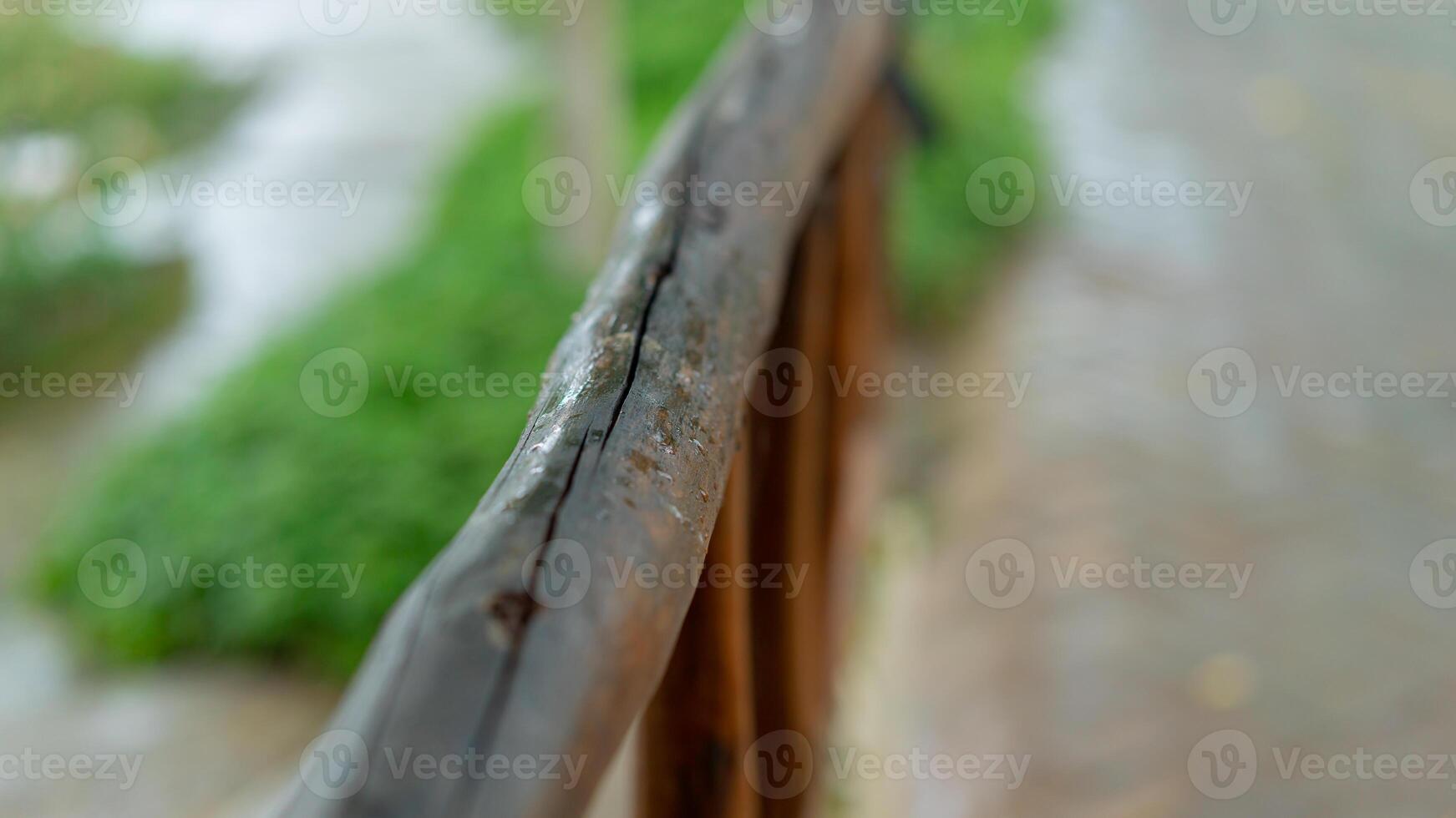 A close up of a wooden fence with a tree photo
