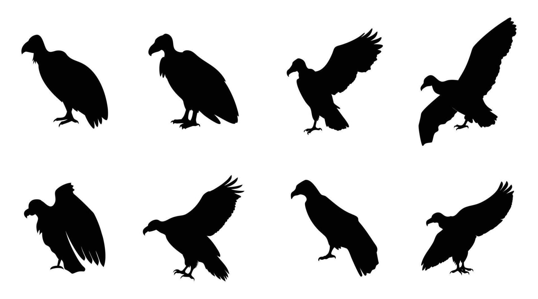 Vulture Silhouette illustration Bird of Prey Clipart for Wildlife Designs vector