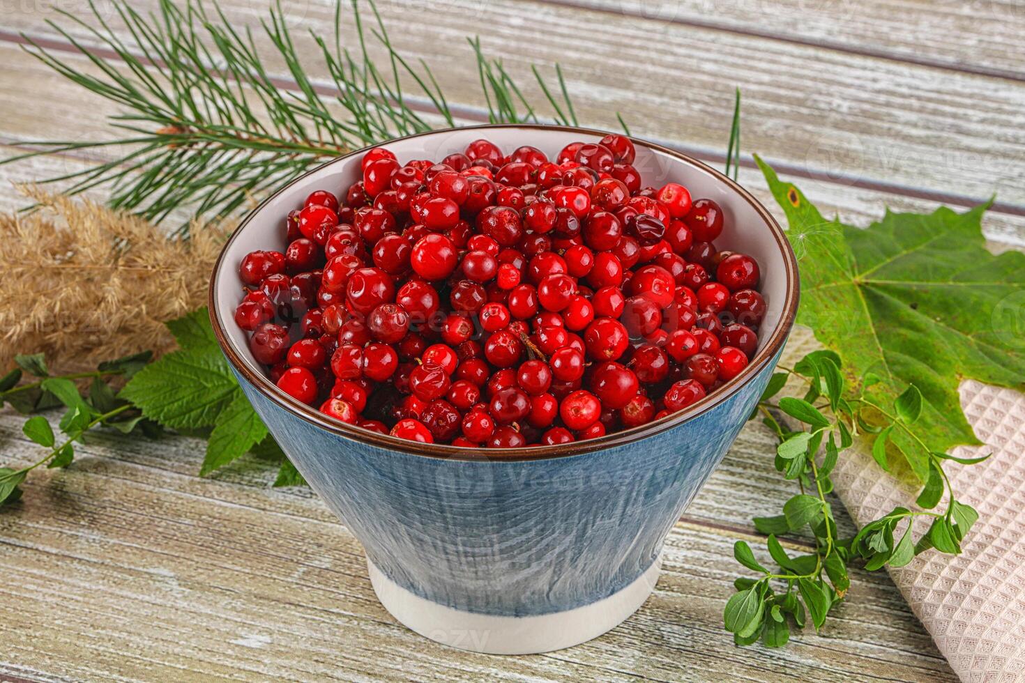 A bowl of red berries on a table photo