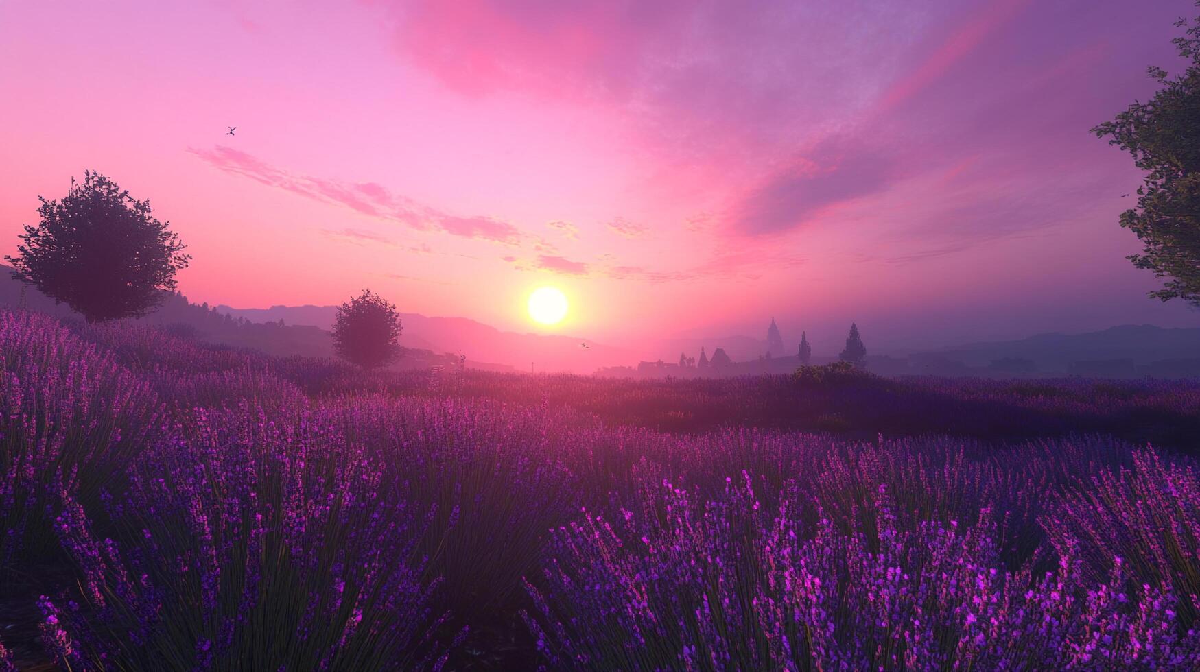 Lavender field aglow with the pink hues of sunrise, promising a serene start to the day. Birds fly above the trees and lavender. photo