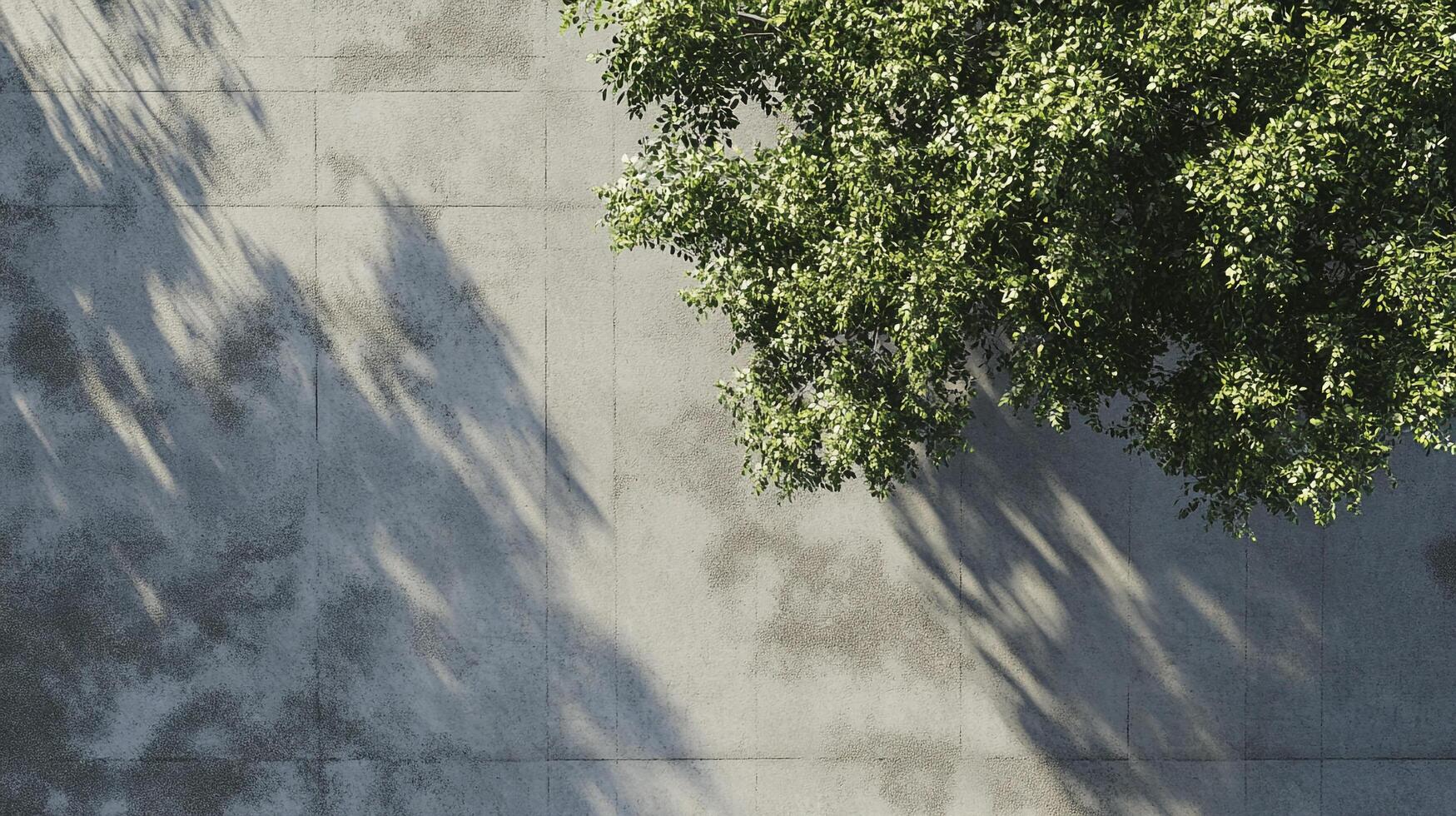 Overhead view of sunlit foliage casting shadows on a textured concrete surface. Evokes natural textures and contrasts in urban settings. photo
