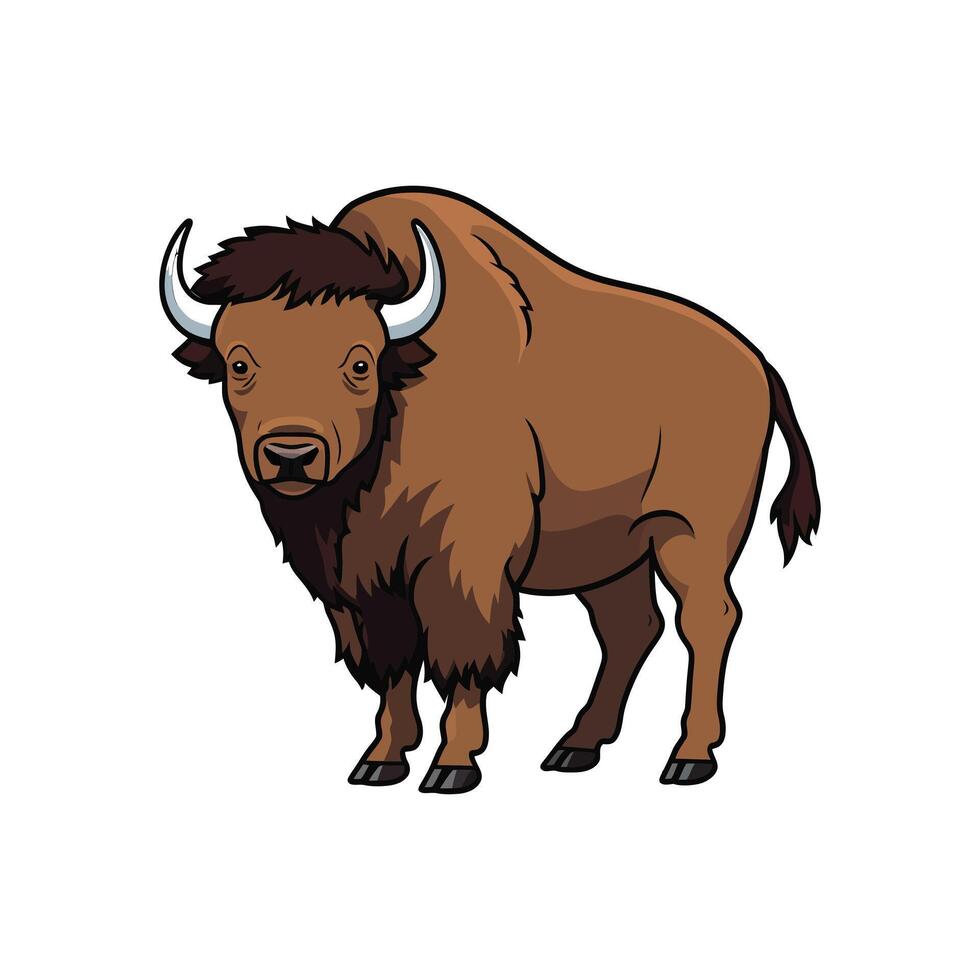 illustration of a buffalo vector