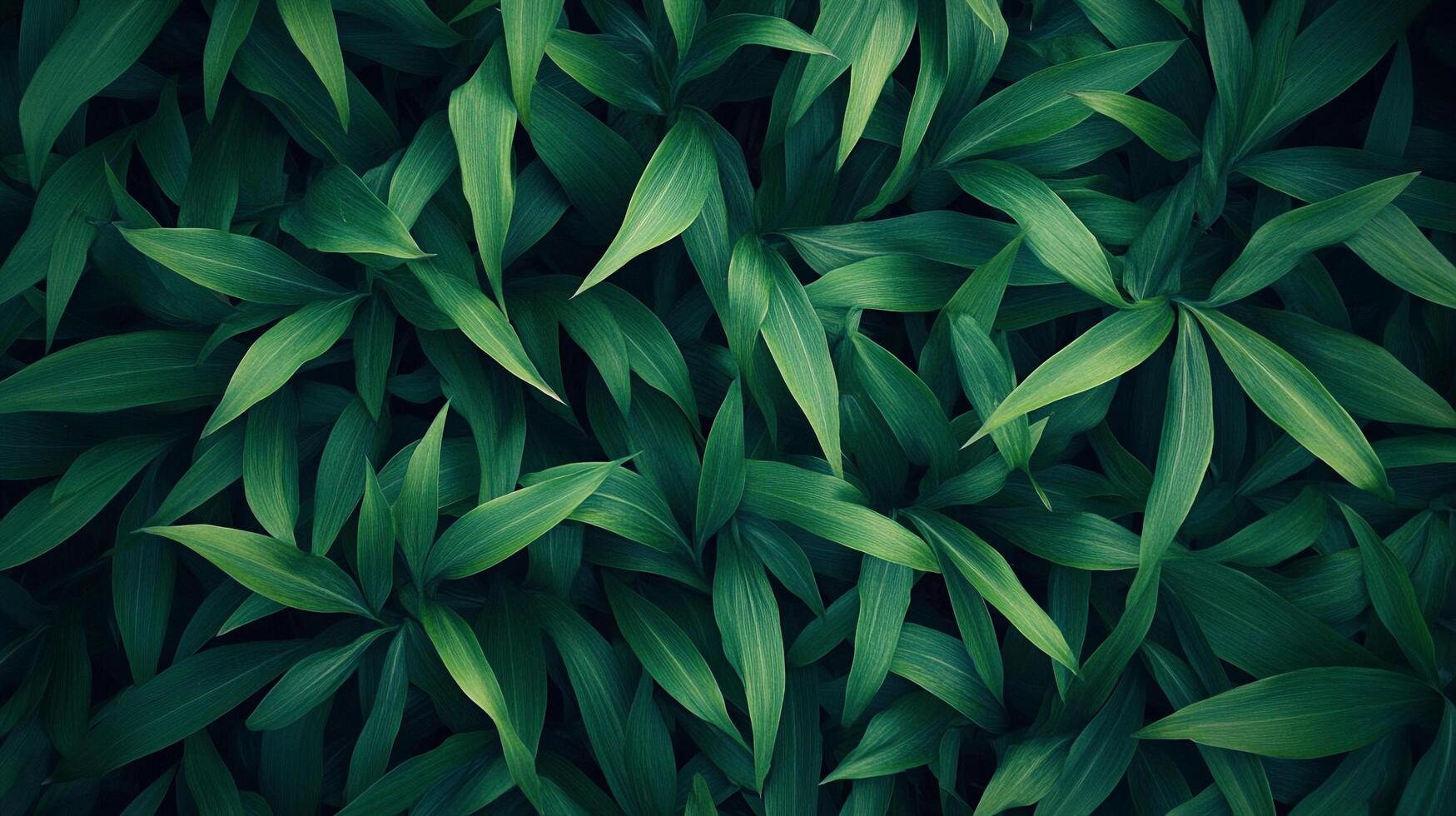 A vibrant array of green leaves creates a dense, textured natural backdrop. Fresh hues evoke nature's serenity and renewal. photo