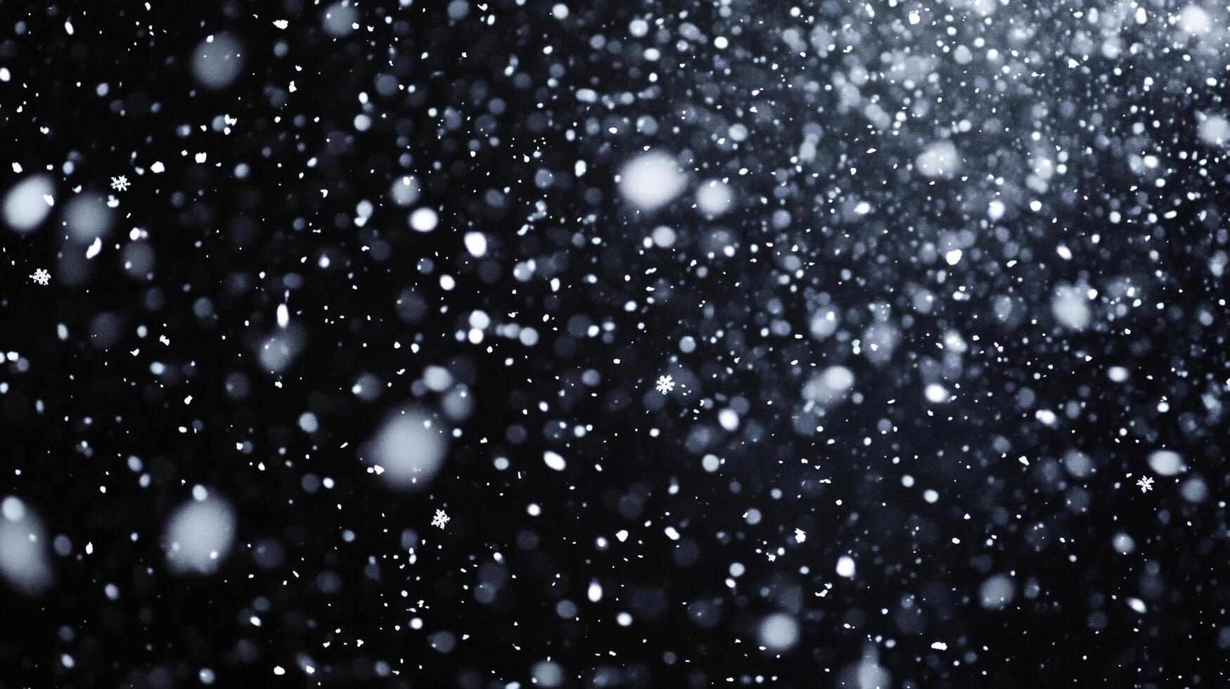 A blizzard of white snow on a black background. The snow is dense and obscures most of the view, creating a winter scene. photo