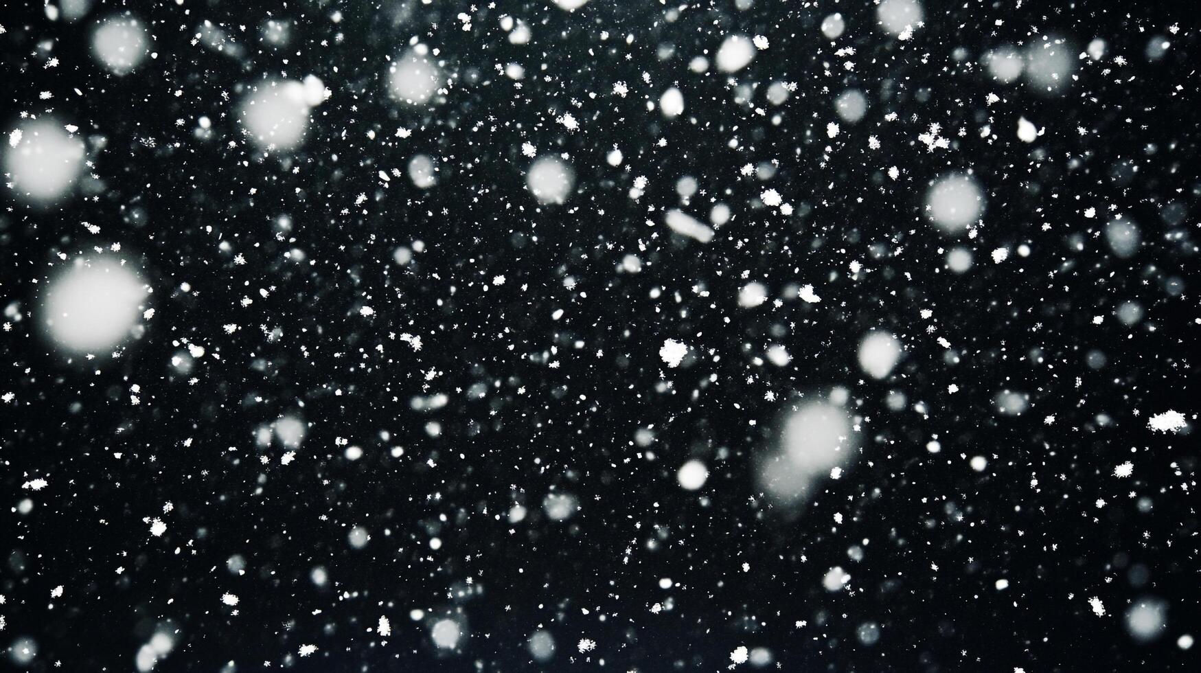 A captivating display of falling snow creates a mesmerizing spectacle in the night. The delicate flakes dance against the darkness. photo