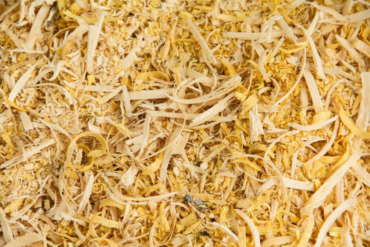 Powder from wood cutting residue, background of wood cutting photo
