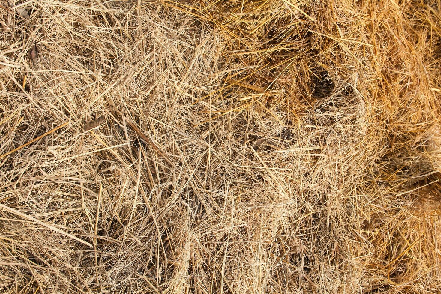A pile of straw and hay with a brown and white background photo