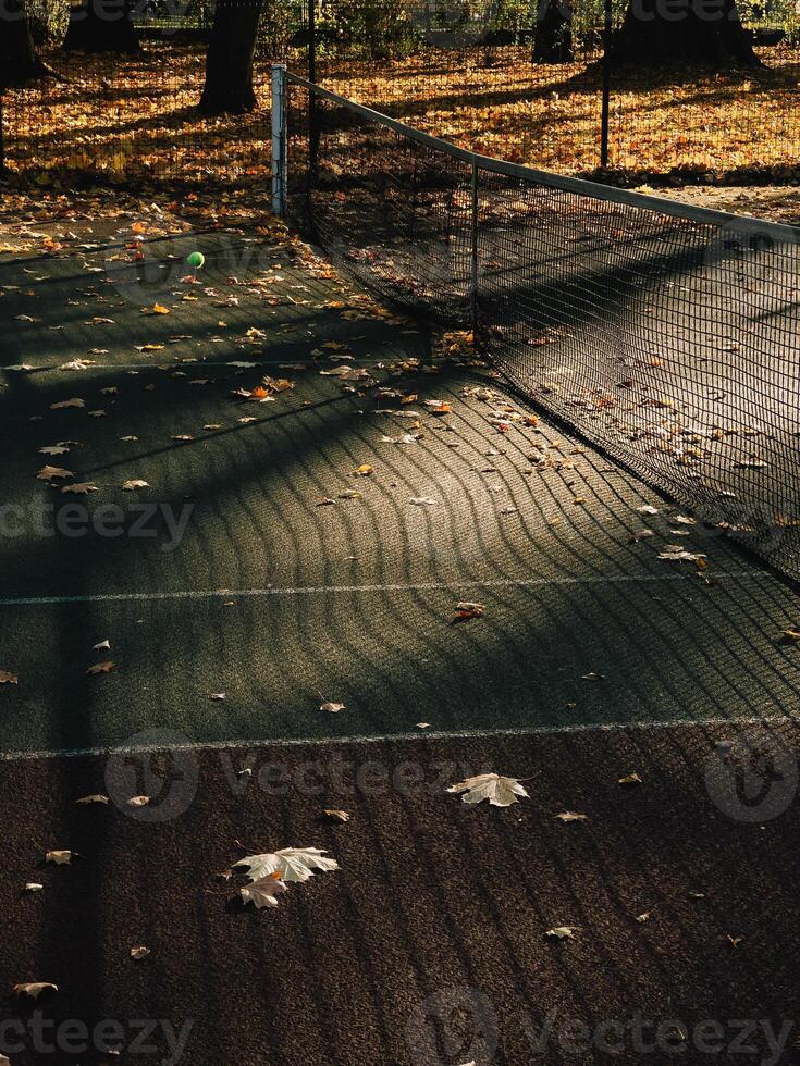 Fallen autumn leaves blanketing tennis court, with shadows from net creating intricate patterns on ground, capturing the serene beauty of the season. Tennis court covered in scattered autumn leaves photo