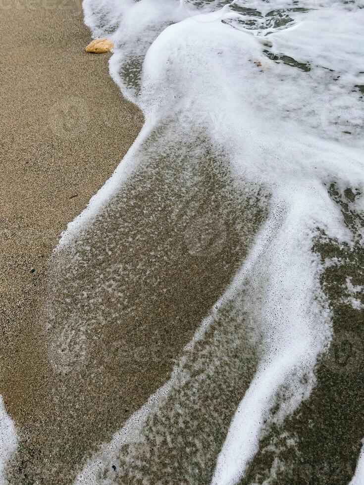 White sea foam gently washing over fine sand at the beach, forming a soothing pattern, while a small shell rests peacefully on the shore under the bright sun. Soft white foam lapping sandy shoreline photo