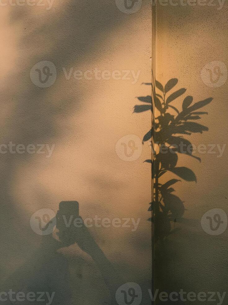 Plant and smartphone user casting shadows on textured wall. person casting shadow on textured wall, sunlight creating minimalist silhouette composition. aesthetic and minimalist abstract composition photo