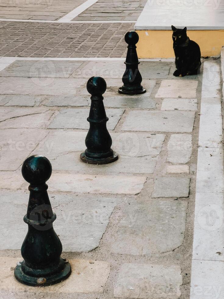 Black cat resting peacefully near bollards on a stone paved street, soaking up the sun in an urban landscape, enjoying a tranquil moment outdoors amidst the serene city atmosphere. Black cat sitting photo