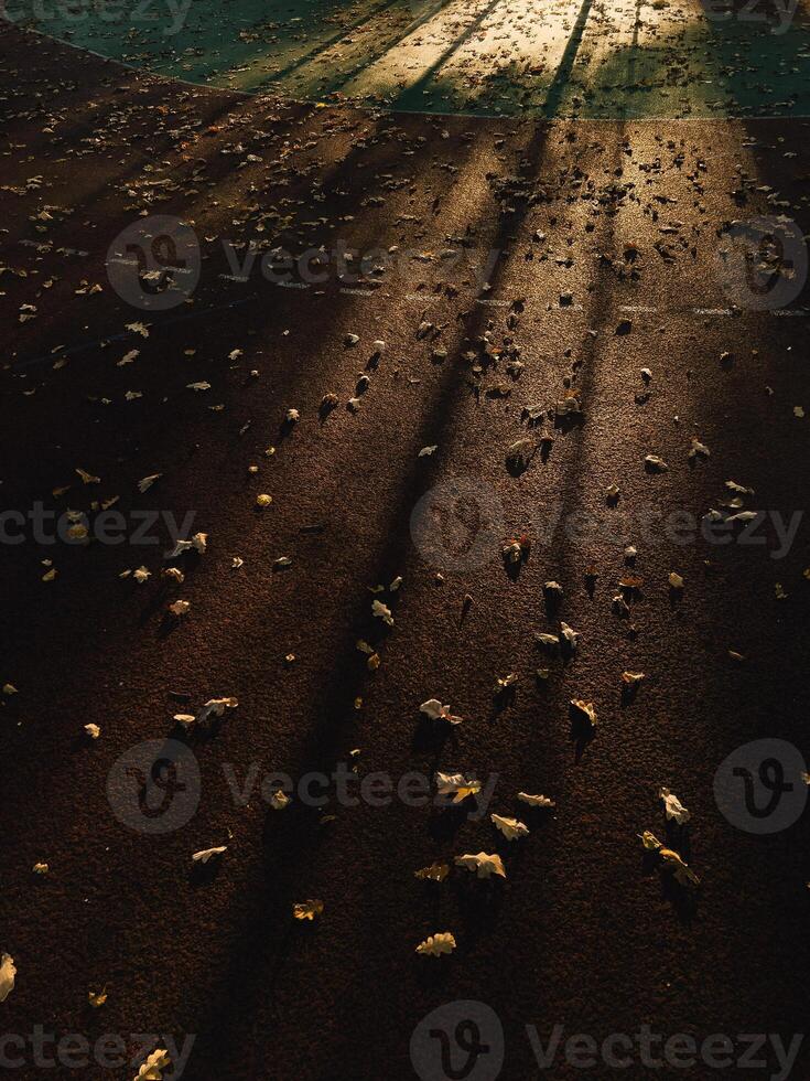Fallen autumn leaves blanketing a basketball court, long shadows stretching across surface at sunset, evoking serene and melancholic atmosphere of seasonal change. Golden sunset casting long shadows photo