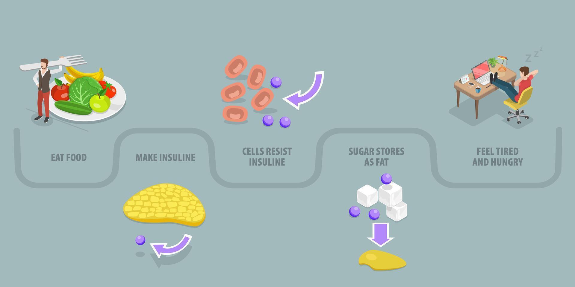3D Isometric Flat Conceptual Illustration of Insulin resistance, Symptoms of Metabolic Syndrome vector