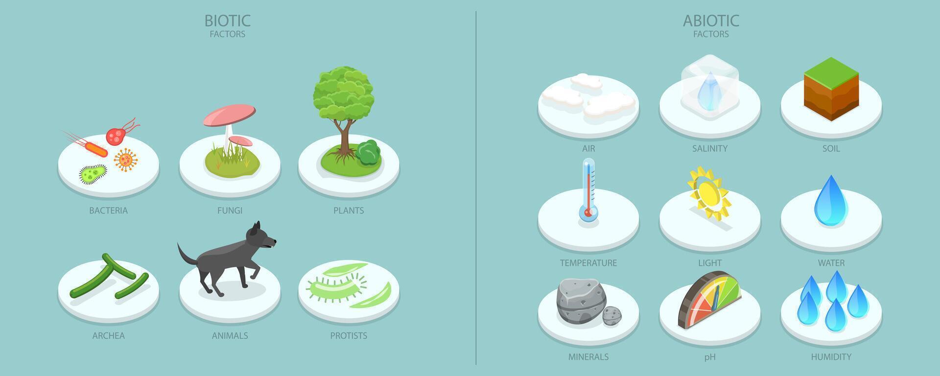 3D Isometric Flat Conceptual Illustration of Biotic And Abiotic Factors, Educational Chart vector