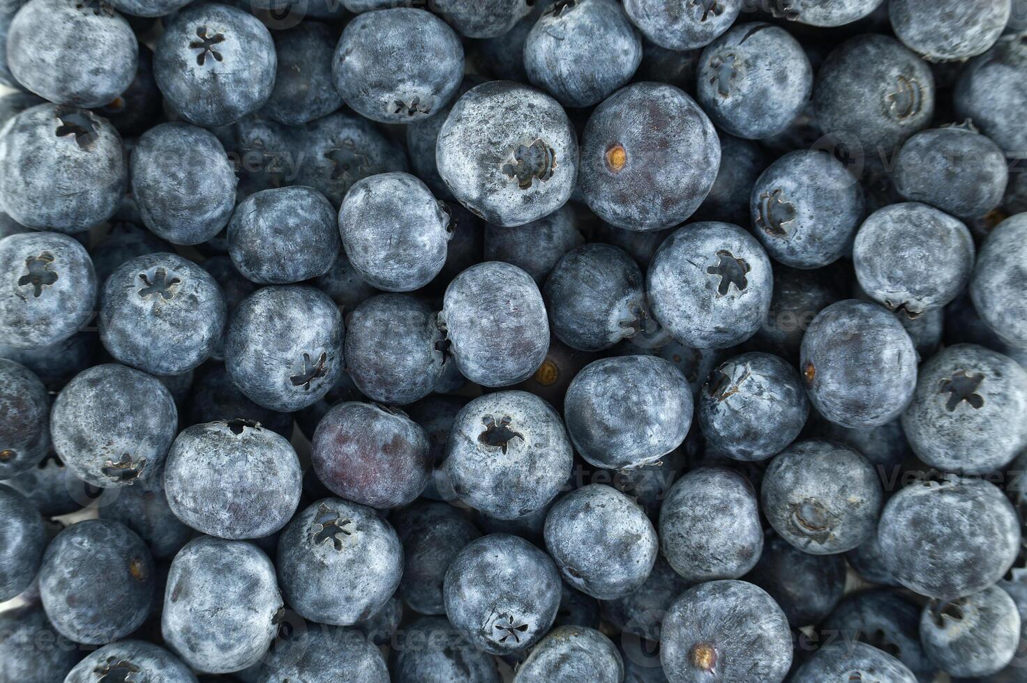 A vibrant and healthy close-up of fresh blueberries creating a visually appealing background. photo