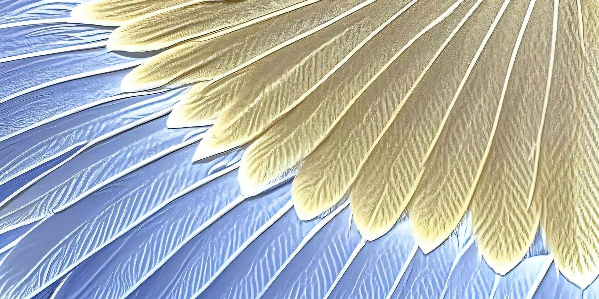 a close up of a blue and yellow feather photo