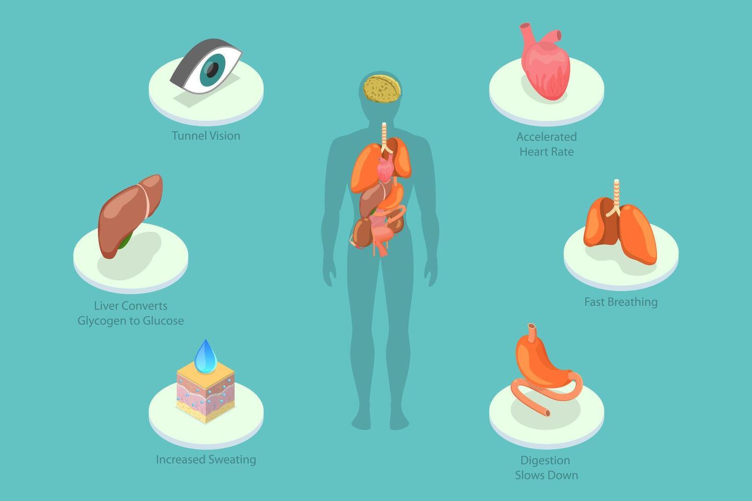 3D Isometric Flat Conceptual Illustration of Stress Response, Fight or Flight Reaction vector