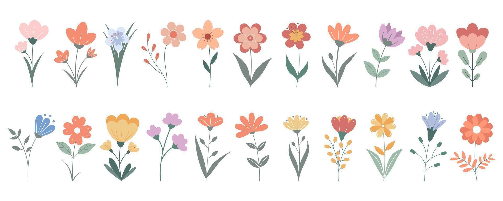 Set of cute hand drawn wildflowers. Beautiful floral set. Flat illustration vector